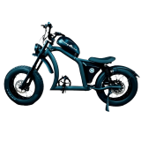 BICICLETA ELETRICA PANDA ELETROBI FT-02 800W - BATERIA 22.5A 60 KM AUTONOMIA