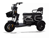 BICICLETA TRICICLO ELETRICO PANDA ELETROBI U1 800W - BATERIA 35A 80KM AUTONOMIA