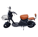 BICICLETA ELETRICA PANDA ELETROBI WD2 1000W - BATERIA 20A 55 KM AUTONOMIA